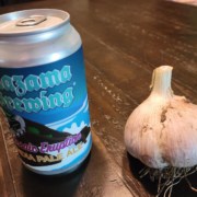 A huge bulb of garlic next to a beer can for scale.